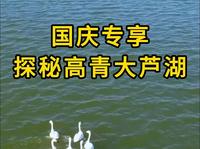 国庆专享·探秘高青大芦湖