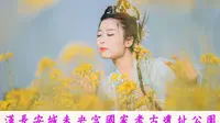汉长安城未央宫国家考古遗址公园：西安市内免费的百亩油菜花海