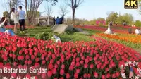 西安植物园｜曲江新区｜4K HDR