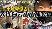 【大连】白云山山体公园！小城带你去看鹿！【日语字幕】シロちゃん鹿に会いに行くの巻