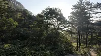 旅行第7天，泰山天烛峰下山迷路，探险尧观顶环线