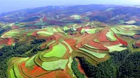 【昆明文旅地标】东川红土地