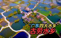 “广东四大水乡“——古劳水乡