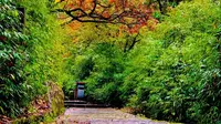 沉浸式体验峨眉山九十九道拐，化身无情爬山机器！
