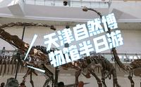 5月4日，带大家看看天津自然博物馆有什么展品