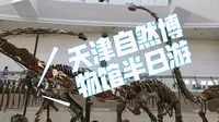 5月4日，带大家看看天津自然博物馆有什么展品
