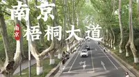 [杜比世界]“南京” 漫步南京梧桐大道 能感受梧桐树的浪漫 （上）
