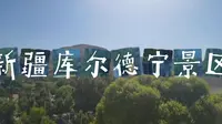 新疆伊犁库尔德宁景区8月中旬非自驾游