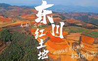 东川红土地航拍——赤霞遗落在苍翠乌蒙中的一抹热烈的红