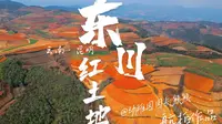 东川红土地航拍——赤霞遗落在苍翠乌蒙中的一抹热烈的红