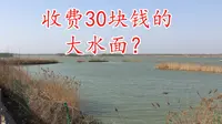 30块钱钓半天的大水面怎么样 探钓聊城位山黄河湿地公园