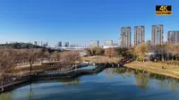 冬日里的西安浐灞桃花潭公园，别有一番意境