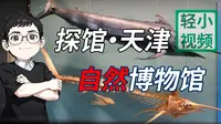 【冉浩】【探馆】天津自然博物馆都展出了些什么？