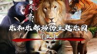 川渝最佳？看乐和乐都为重庆动物园找场子
