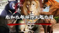 川渝最佳？看乐和乐都为重庆动物园找场子