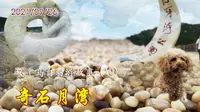 2021-09-26 中国最“值钱”的海滩，长岛月牙湾，上面布满了奇珍异石
