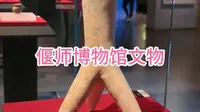 洛阳偃师区博物馆文物