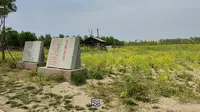 山东高密红高粱影视城，来高密必去的地方