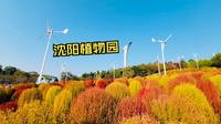 沉浸式闲逛沈阳植物园