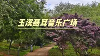 玉溪聂耳音乐广场