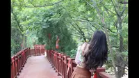 门票免费～青岛森林野生动物世界and珠山森林公园一日游