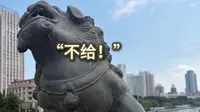 狮子林桥遇上了最懂它的人🤣