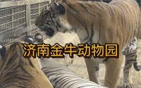 【云逛街】济南金牛动物园
