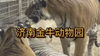 【云逛街】济南金牛动物园