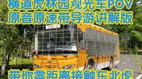 【景区客运POV】横道河子东北虎林园探险车，近距离接触东北虎。