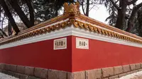 大学路网红墙