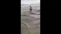 福建漳州，东山岛金銮湾惊魂！！众多游客正在沙滩玩耍，却突然开闸放水？？水流的速度非常快，堪比山洪，几秒钟就把原本的沙滩全部淹没！眼看着冲走好几个人