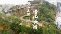 珠海香山云道全线贯通，赏花进行时！