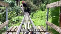 苏州乐园森林世界2025游玩全攻略：25项尖叫体验等你挑战