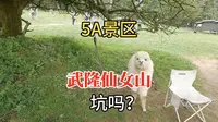 5A级景区重庆武隆仙女山坑吗？跟随大杨的镜头，带您全程游览一遍