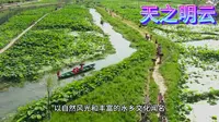 河北--保定市安新白洋淀5A景区最全攻略