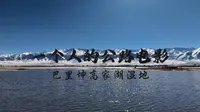 一个人的公路电影：巴里坤高家湖湿地