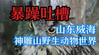 暴躁吐槽威海神雕山野生动物世界——一场酣畅淋漓的桑拿