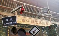西江苗族博物馆，从起源、风俗到苗药、乐器……还原一个真实的苗寨。