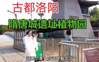 洛阳隋唐城遗址植物园不光植物众多，汉服小姐姐也喜欢在此游玩