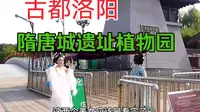 洛阳隋唐城遗址植物园不光植物众多，汉服小姐姐也喜欢在此游玩