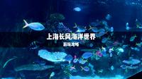 一条视频带你玩转上海长风海洋世界