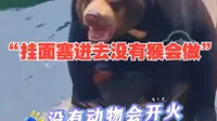 “挂面塞进去，没有猴会做”天津动物园大喇叭花式喊话火了！ 当事人：不是管理员，只是普通粉丝，想呼吁大家文明游园