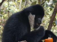 【普洱太阳河森林公园】Up主探索中，欢迎收看求三连！