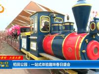 太原稻田公园 一站式体验趣味春日盛会