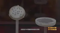宁波·河姆渡遗址博物馆