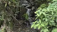 又来南昌植物园了
