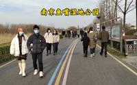 乘坐南京地铁2号线到鱼嘴湿地公园，观赏长江壮观景象，你来过这里吗