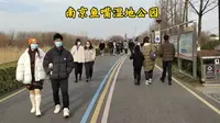 乘坐南京地铁2号线到鱼嘴湿地公园，观赏长江壮观景象，你来过这里吗