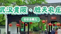 杉杉去哪儿——武汉黄陂·木兰胜天农庄