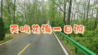天鸣花海  研学游的一天